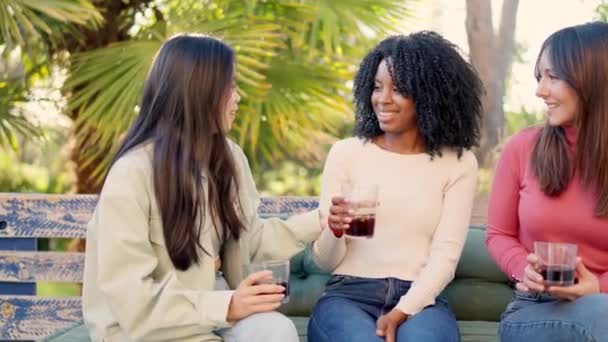 Video Rallentatore Amici Multietnici Che Sorridono Bevono Giardino — Video Stock
