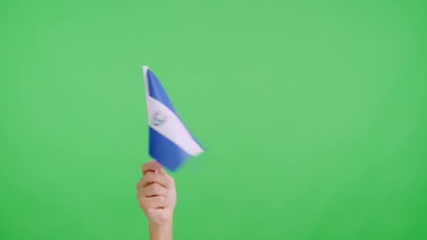 Lambat Bergerak Video Studio Dengan Kroma Tangan Melambaikan Panji Bendera — Stok Video