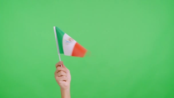 慢动作录像在演播室里 手拿着一面墨西哥国旗的旗帜 从一边飘扬到另一边 — 图库视频影像