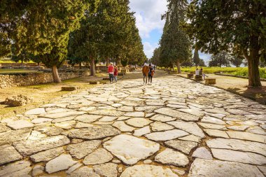 Roma şehri Italica 'nın Cardo Maxima' sının fotoğrafı