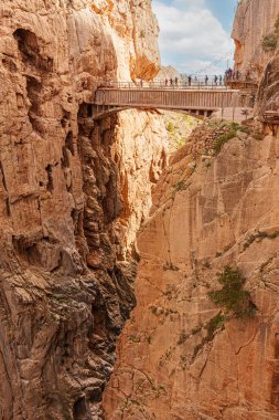Caminito del Rey geçidini geçen yürüyüşçüler. Dikey çekim