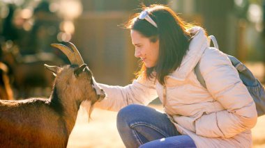 Güneşli bir günde çiftlikte keçiyi okşayan bir turist.