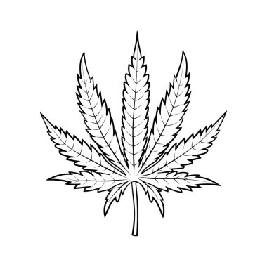 El çizimi bir kenevir yaprağının vektör çizimi.