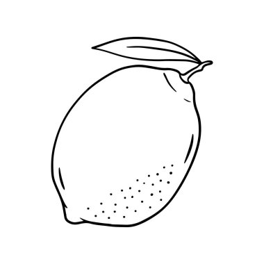 Elle çizilmiş bir limonun vektör çizimi.