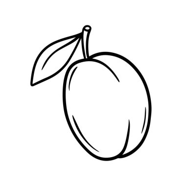 Elle çizilmiş bir eriğin vektör illüstrasyonu.