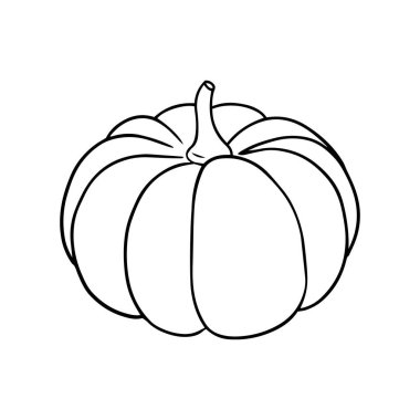 Vector illustration of a pumpkin in a hand drawn style.