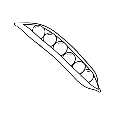 Vector illustration of a peas in a hand-drawn style.