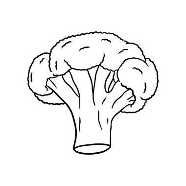 Vector illustration of a broccoli in a hand-drawn style.