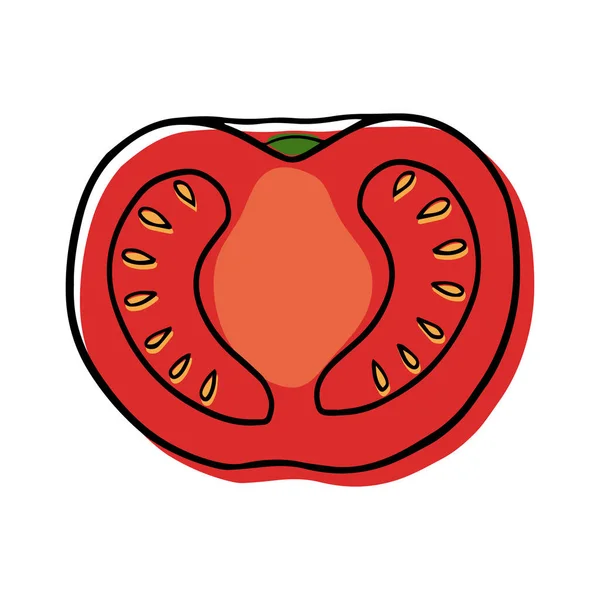 Vektorillustration Einer Scheiben Geschnittenen Roten Tomate Linearen Stil — Stockvektor