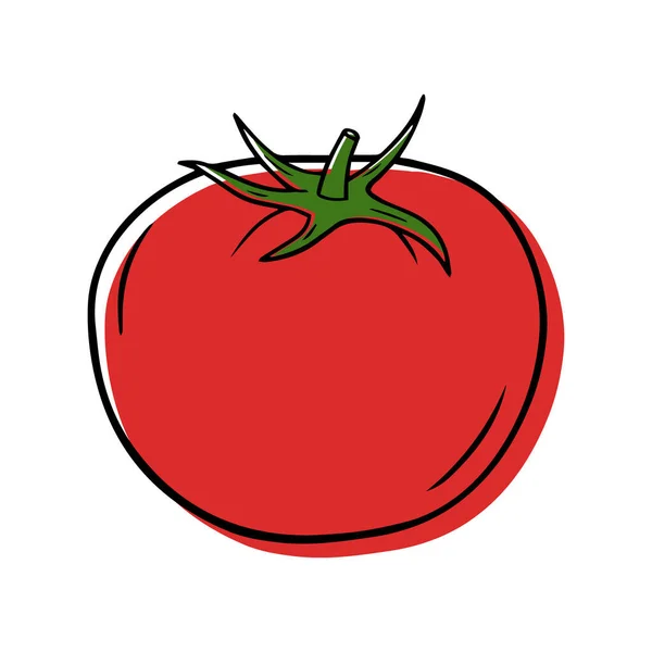 Illustration Vectorielle Une Tomate Mûre Dans Style Linéaire — Image vectorielle