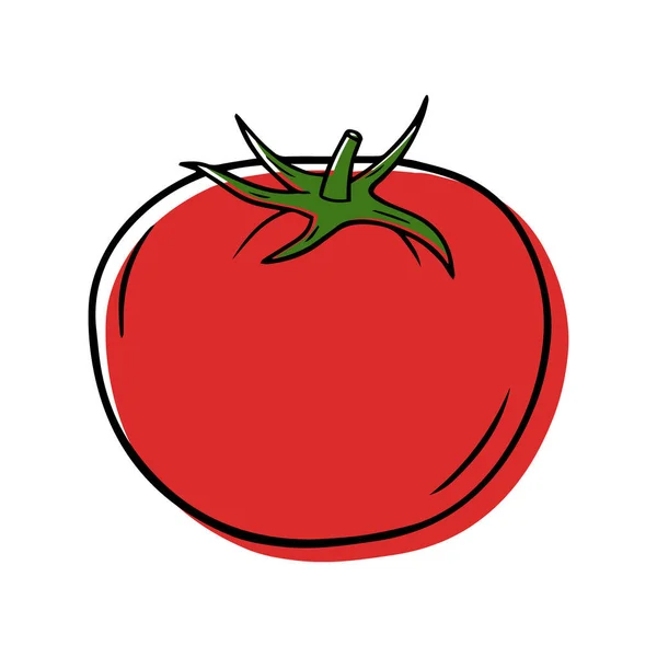 Vektorillustration Einer Reifen Tomate Linearen Stil — Stockvektor