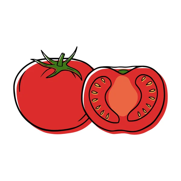 Vektorillustration Einer Roten Tomate Linearen Stil — Stockvektor