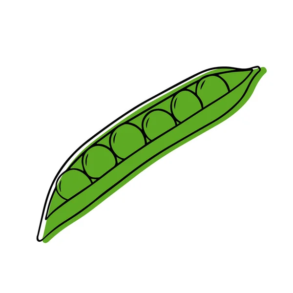 線形に熟したエンドウ豆のベクトル図 — ストックベクタ