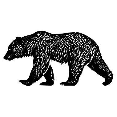 Siyah-beyaz şeklinde yürüyen ayı tasviri. Vektör.