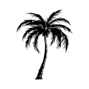 Palmiye ağacının kabartmalı görünümü.