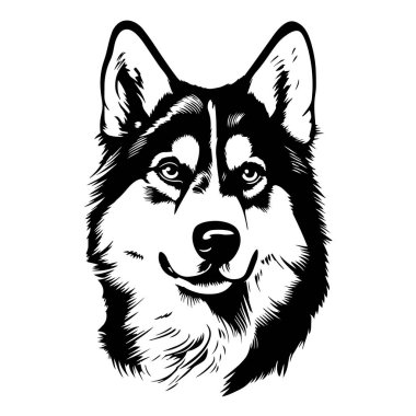 Siyah-beyaz bir Husky 'nin vektör çizimi.