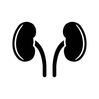 Düz stil iki böbrek ikonu. Vektör.