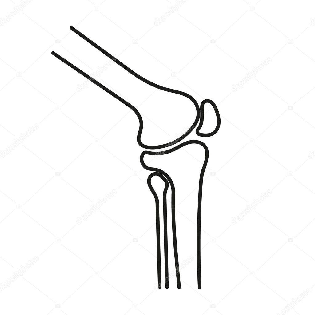 Knee joint icon in linear style.