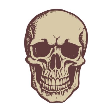 Vintage tarzında bir kafatası tasviri.