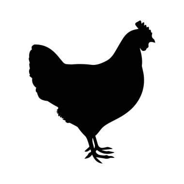 Siyah tavuk silueti tasviri.