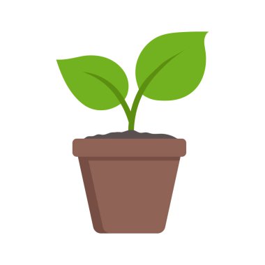 Saksıda saksı bitkisinin resmi. Vektör.