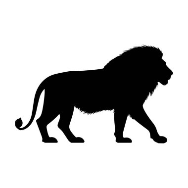 Yürüyen vahşi aslan silueti. Vektör.