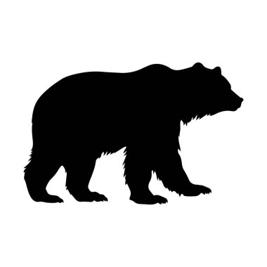 Yürüyen vahşi ayı silueti. Vektör.