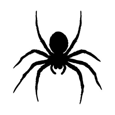 Büyük kıllı örümcek siyah silueti. Vektör.