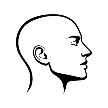 İnsan kafası tasviri. Vektör.