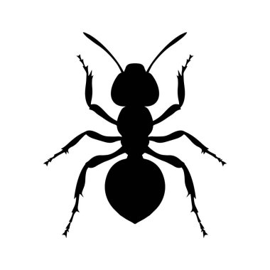 Siyah karınca siluetinin bir tasviri. Vektör.