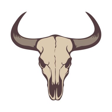 Boynuzlu boğa kafatası tasviri. Vektör.