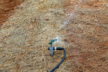 Yeni evin yakınındaki bahçe düzenlemesinin bir parçası olarak çim püskürtücüsünü kullanarak su deposu.