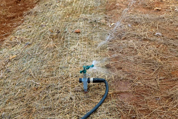 Watering Yard Using Lawn Sprinkler Part Landscaping New Home — Stock Photo, Image