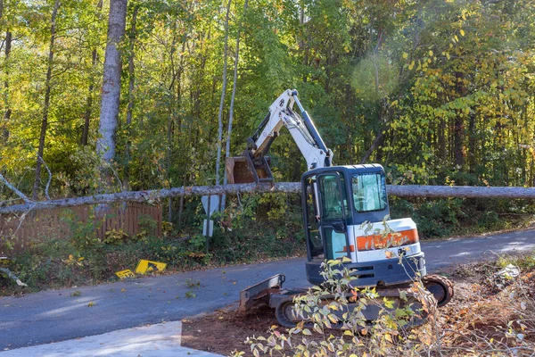 Huraganie Wykorzenione Drzewa Spadły Ulicę Niszcząc Ogrodzenia Wymagając Czyszczenia Ciągnika — Zdjęcie stockowe