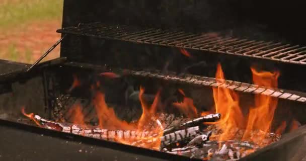 Korzystanie Drewna Opałowego Płonące Źródło Ognia Przygotować Grill Grillowania Mięsa — Wideo stockowe