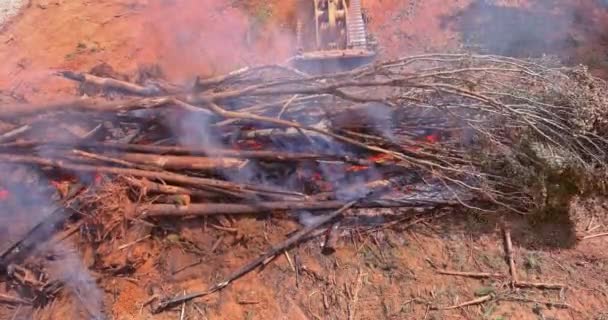 Руйнування Лісів Спалювання Вирубка Лісів Підготовка Прибирання Землі Перед Будівництвом — стокове відео