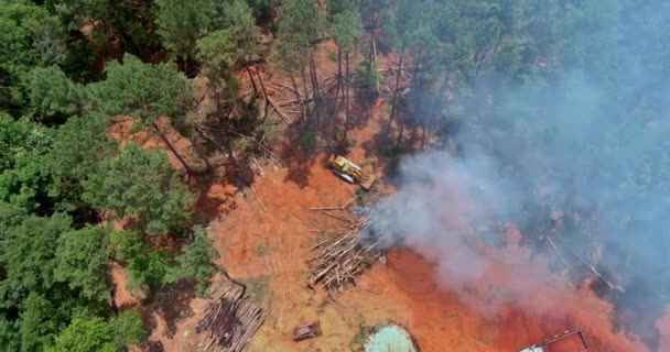 Kökleri Sökülmüş Ağaçlar Yanan Evlerin Sonuçlarına Göre Inşaat Için Arazi — Stok video