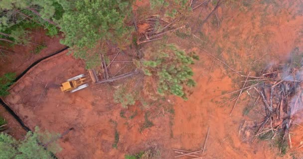 Yeni Konut Inşaatı Için Temiz Arazi Ağaçların Kökünü Kazımak Için — Stok video