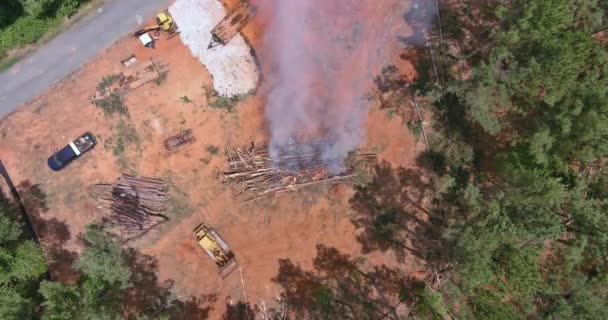Уничтожение Лесов Сжигание Выкорчевывания Деревьев Уборка Земельных Участков Строительство Домов — стоковое видео