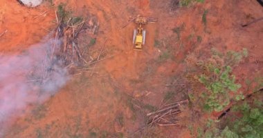 Develop new plots of land in order to build new structures using heavy equipment, bulldozing, and burning the trees an environmental problem