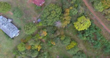 Güney Carolina 'nın küçük bir kasabası yakınlarındaki bir sonbahar ormanının manzarası.