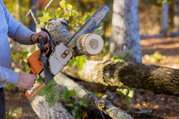 Άνθρωπος Κόβει Δέντρα Αλυσοπρίονο Ενώ Καθαρίζει Δάσος Για Την Κατασκευή — Φωτογραφία Αρχείου
