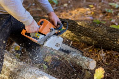 Yeni ev için ormanı temizleme işlemi sırasında insanlar ağaçları elektrikli testereyle kesiyor.