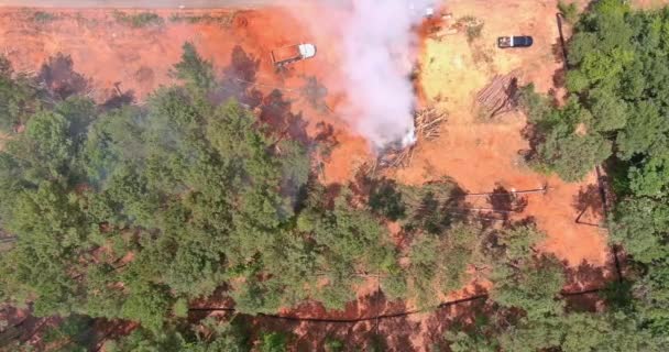 Процесі Прибирання Викопаних Дерев Які Були Спалені Буде Готовий Наказ — стокове відео