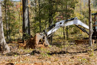 Bahçe düzenleyicisi, traktörler, kızak dümenleri konut sektörünün gelişimi için kökleri temizledi