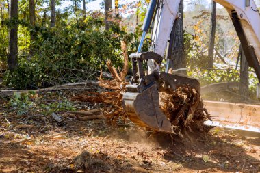 Landscaping company was using tractor skid steers to clear land of roots for construction housing subdivision clipart