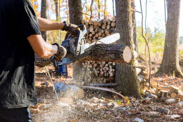 Violent Storm Occurs Chainsaw Cuts Trunk Uprooted Broken Tree Torn — Stock Photo, Image
