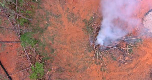 Vykořeněné Spálené Stromy Proces Přípravy Pozemků Pro Výstavbu Domů Základě — Stock video