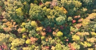 Güney Carolina 'da görüldüğü gibi, aşağıdan, küçük bir Amerikan kasabasının yüksekliğinden hava manzarası.