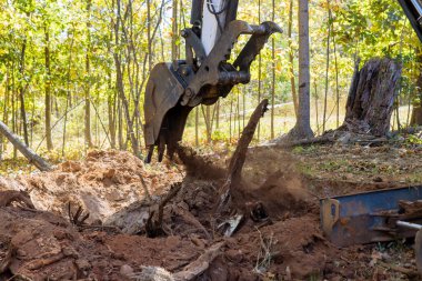 Ormanların tahrip edilmesi sırasında traktördeki hazırlık arazisi inşaat sahasının köklerini temizler.